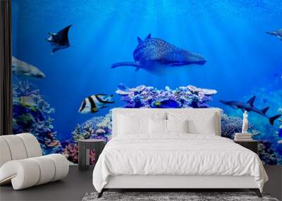 Panorama background of beautiful coral reef with marine tropical fish. Whale shark, Hammerhead shark, Zebra shark and sea turtle visited here Wall mural