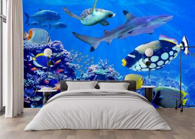 Shark and sea turtle visiting coral reef with beautiful marine fish Wall mural