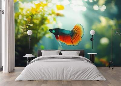 Colorful guppy fish swimming among aquatic plants in a clear aquarium Wall mural