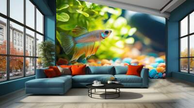 Guppy fish exploring a tank with colorful gravel and live plants Wall mural