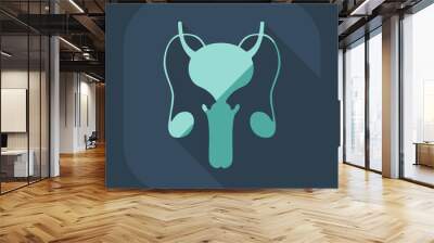 Flat modern design with shadow icons male reproductive system Wall mural