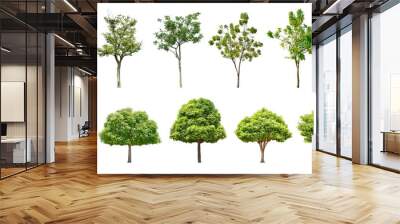 Collection Trees and bonsai green leaves and some with yellow flowers. 
total 11 trees. (png)
 Wall mural