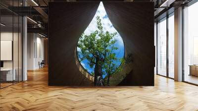 tree in the window roof. Beautiful tree plant in the building with blue sky background. Creative interior design of nature in home. Wall mural