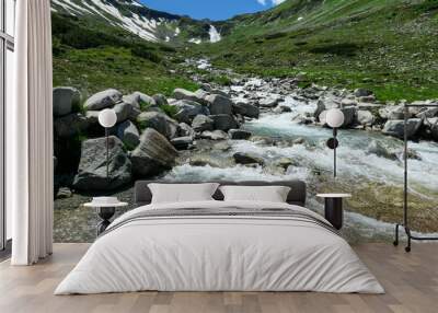 A rushing torrent in the Austrian Alps. The meadow around it is overgrown with lush green grass. In the back there is a glacier. Sunny and bright day. Power of the nature. Remedy and serenity Wall mural