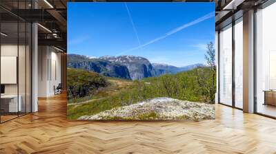 A view on higher parts of Eidfjorden, Norway. Taller mountains have some snow on them. Lush green flora growing on the slopes. Sky is clear blue, with traits of two plains crossing it. Wall mural