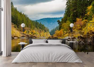 Fall colors of orange and yellow leaves in a calm section of the rogue river with pine trees on the left and the river gently winding to the right Wall mural