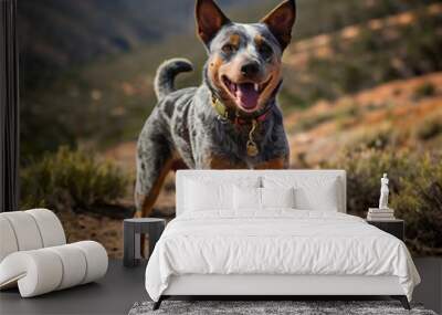 Australian cattle dog standing on a hiking trail Wall mural