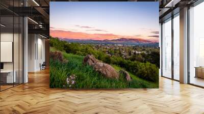 Dinosaur Hill Park at Sunset Wall mural