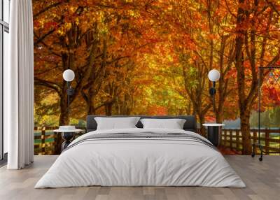 Autumn In The Park Wall mural