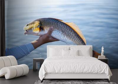 fish in hand, redfish Wall mural