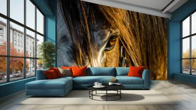 horse head close up Wall mural