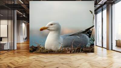 Herring Gull (Larus Argentatus) sitting on nest Wall mural