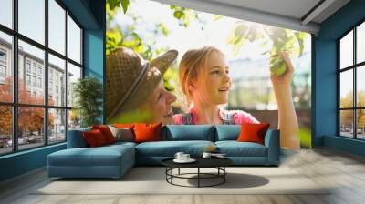 Grandmother and granddaughter picking apple from tree in sunny garden Wall mural