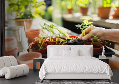 Woman potting plants in greenhouse Wall mural