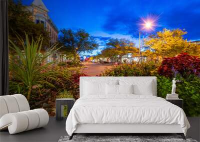 Old Town, Fort Collins at Blue Hour Wall mural