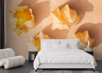 Physalis on a brown paper background Wall mural