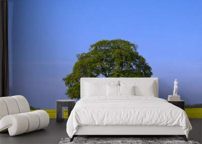 One mature green tree in a vibrant yellow field of flowering oil seed rape under a blue summer sky in rural Gloucestershire, UK Wall mural