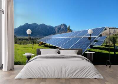 Solar panels with photovoltaic  modules for renewable energy with blue sky and mountains in the back round set in a countryside meadow  Wall mural