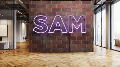 SAM - fluorescent Neon tube Sign on brickwork - Front view - 3D rendered royalty free stock picture. Can be used for online banner ads and direct mailers.. Wall mural