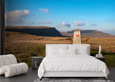 Welsh Flag on Beacon in Brecon Wall mural