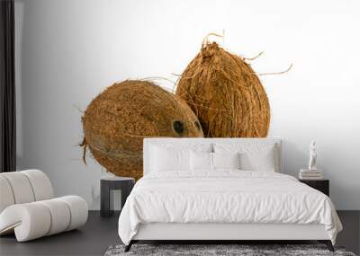 two raw coconut on isolated white background Wall mural