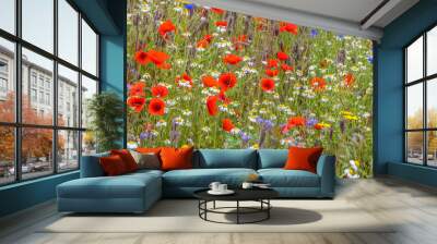 wildflower meadow Wall mural