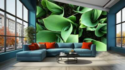 leaves Wall mural