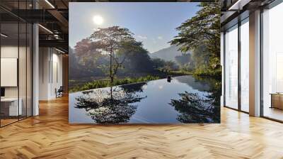 An infinity swimming pool in the jungle with calm water an tree reflections Wall mural