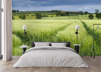 panorama of a wheat field in spring Wall mural