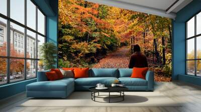 women walking on a forest path in autumn, colorful fall foliage Wall mural