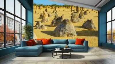 pinnacles of nambung national park in the morning, western australia 2 Wall mural