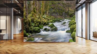 Chaltbrunnental (Kaltbrunnental) Wall mural