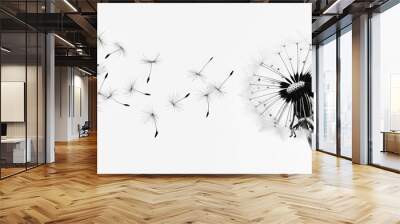 Black and white photo dandelion, from which seeds detach and fly away, white background, 16:9 Wall mural