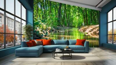 small river through a forest with a path Wall mural