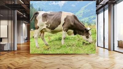 Cow on meadow Wall mural