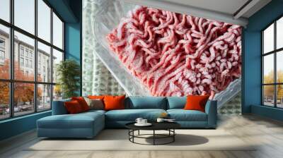 Frozen beef steak mince in a plastic container defrosting. On a green tea towel. Wall mural