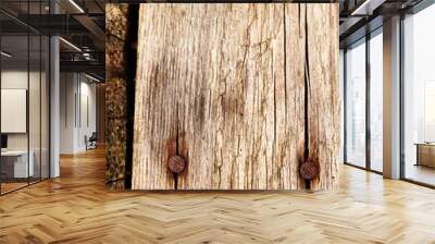 old wood texture with two rusty nails Wall mural