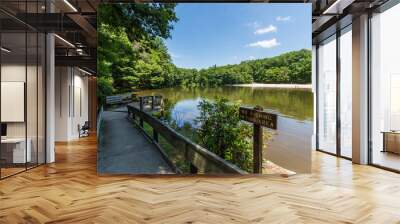 Landscape of the Swimming and Fishing Area in Colonel Denning State Park in Tuscarora State Forest in Pennsylvania Wall mural