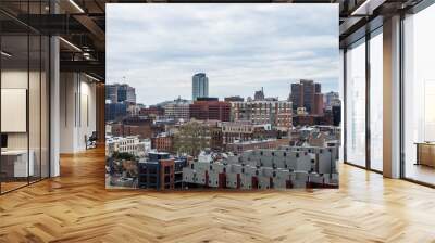 Skyline of downtown philadelphia, pennsylvania from Benjamin Franklin bridge in spring Wall mural