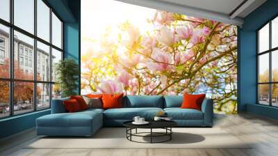 closeup of blooming magnolia tree against bright sky on sunny day in springtime Wall mural