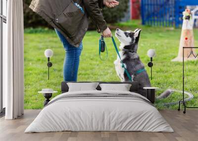 woman trains with a young husky on a dog training field Wall mural