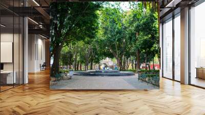 Peaceful park with a fountain and statues in Mexico City Wall mural