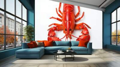 Vibrantly red cooked lobster against a white background. Wall mural