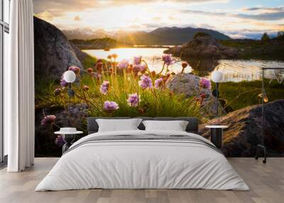 Flowers growing out of rock at a lake in front of a beautiful sunset in northern norway Wall mural