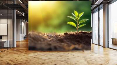 Young plant in the morning light on nature background, 16:9, high quality, copy space, concept: Growth Wall mural