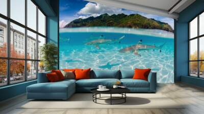 Black Tip Reef Sharks Swim Around Moorea in French Polynesia Wall mural