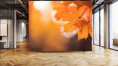 A close-up of vibrant orange maple leaves against a soft, warm bokeh background. Ideal for fall-themed, seasonal, and nature-related projects, highlighting the beauty of autumn.

 Wall mural