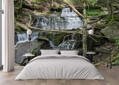 Pennsylvania waterfall Wall mural