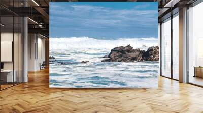 waves and rocks Wall mural