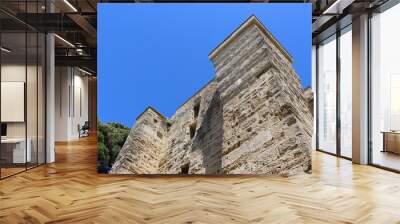 Cathédrale de Maguelone sous le ciel bleu : tour et arbres en contreplongée Wall mural